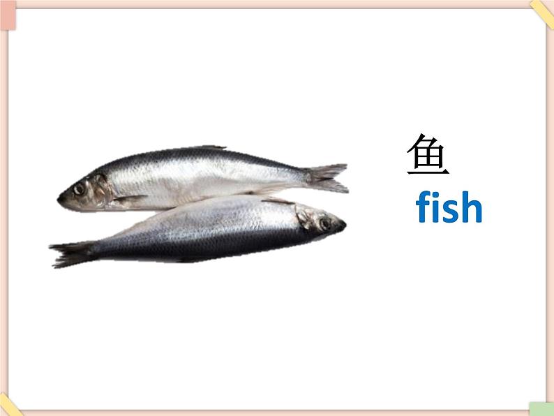 Unit 9 This is my fish——词汇第4页