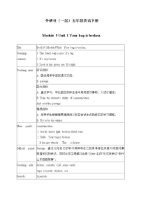 小學英語外研版 (一年級起點)五年級下冊Unit 1 Your bag is broken.公開課教學設計