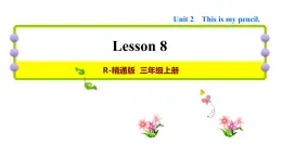 人教精通版三起三年级英语上册Unit2ThisismypencilLesson8习题课件