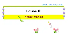 人教精通版三起三年级英语上册Unit2ThisismypencilLesson10习题课件