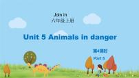 外研剑桥版六年级上册Unit 5   Animals in danger示范课课件ppt