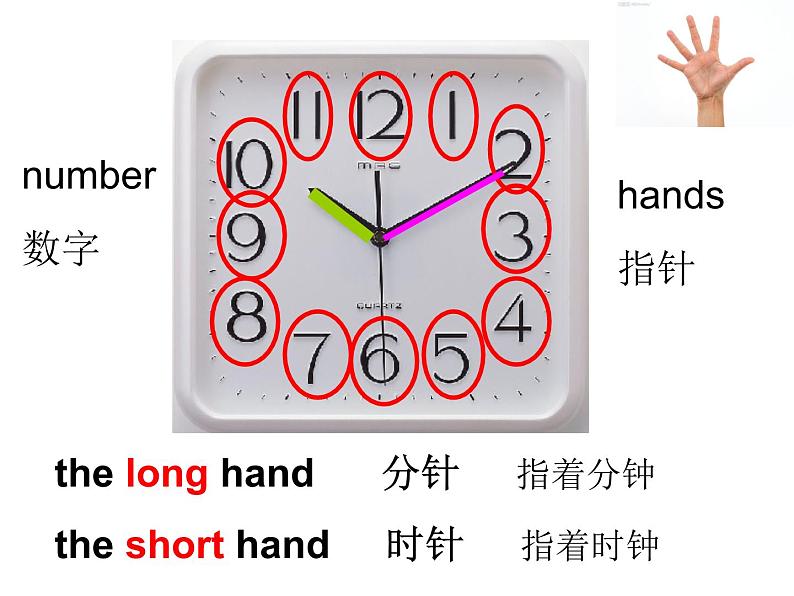 外研版(一起)小学英语四年级下册同步课件《Module 7Unit 1 What's the time_》wPPT课件07