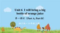 湘少版Unit 6 I will bring a big bottle of orange juice图片ppt课件