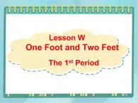 20三年级上册英语课件-Lesson W One Foot and Two Feet!∣川教版(三年级起点)