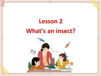 小学英语川教版五年级上册Lesson 2 What's an insect?课堂教学课件ppt