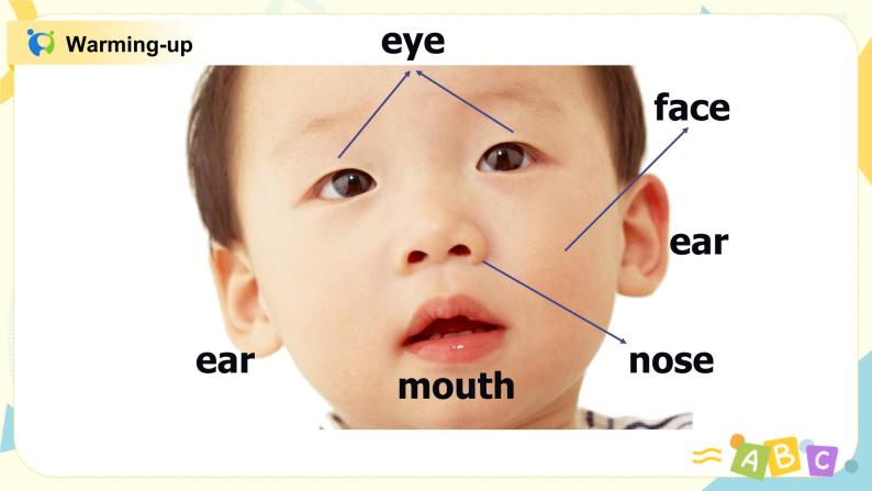 Module 2Unit 2 My family 课件PPT+教案05