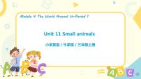 2021学年Module4 The world aroud usunit11Small animals背景图课件ppt