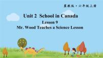 2021学年Lesson 9 Mr. Wood Teaches a Lesson示范课ppt课件