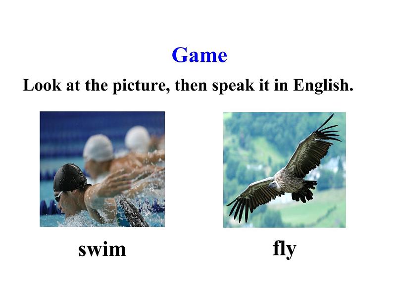 三年级下册英语课件 Unit 1Animals on the Farm Lesson 3 Fish and Birds 冀教版(共15张PPT)第5页