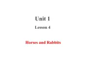 三年级下册英语课件 Unit 1Animals on the Farm Lesson  4 Horses and Rabbits 冀教版(共14张PPT)