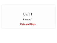 三年级下册英语课件 Unit 1Animals on the Farm Lesson  2 Cats and Dogs 冀教版(共16张PPT)