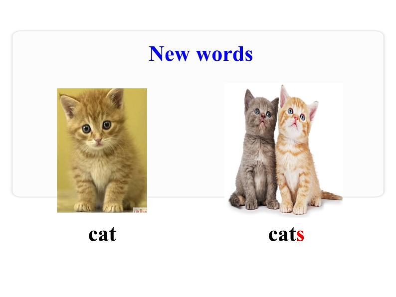 三年级下册英语课件 Unit 1Animals on the Farm Lesson 2 Cats and Dogs 冀教版(共16张PPT)03