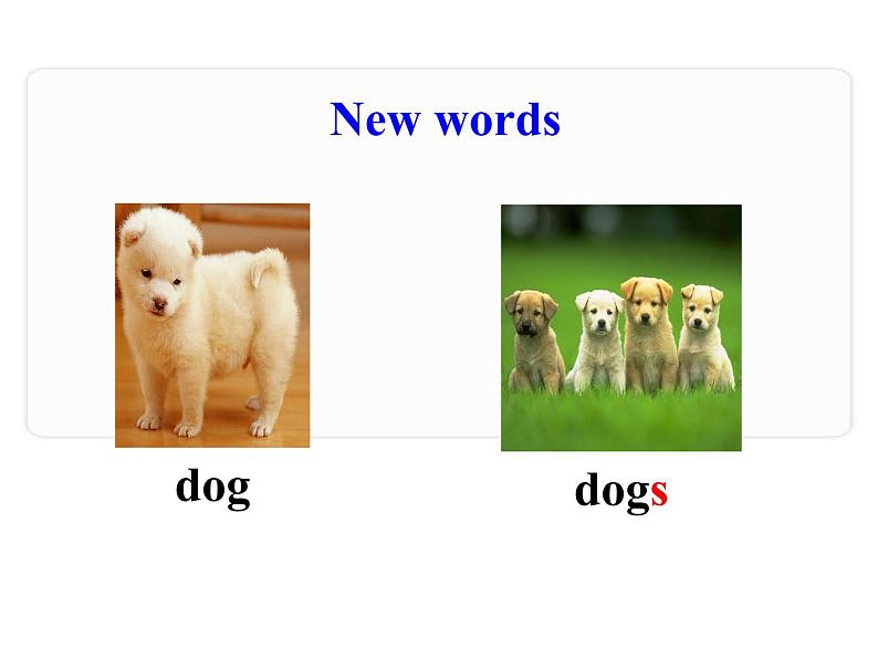 三年级下册英语课件 Unit 1Animals on the Farm Lesson 2 Cats and Dogs 冀教版(共16张PPT)04
