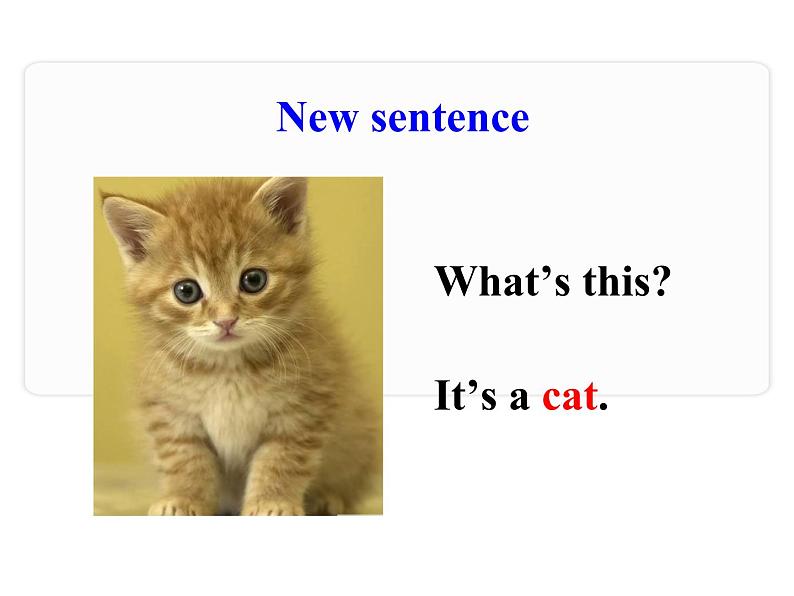 三年级下册英语课件 Unit 1Animals on the Farm Lesson 2 Cats and Dogs 冀教版(共16张PPT)07