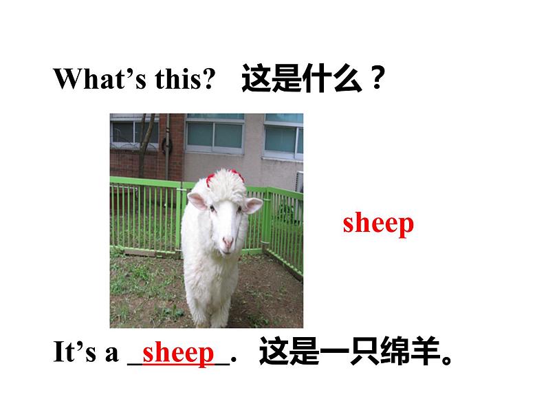 三年级下册英语课件 Unjt 1 Lesson 1 On the Farm 冀教版(共13张PPT)第4页