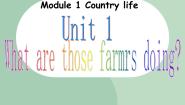 英语六年级上册Module 1 Country lifeUnit 1 What are those farmers doing?多媒体教学ppt课件