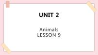 清华大学版一年级上册Unit 2 Animals备课ppt课件