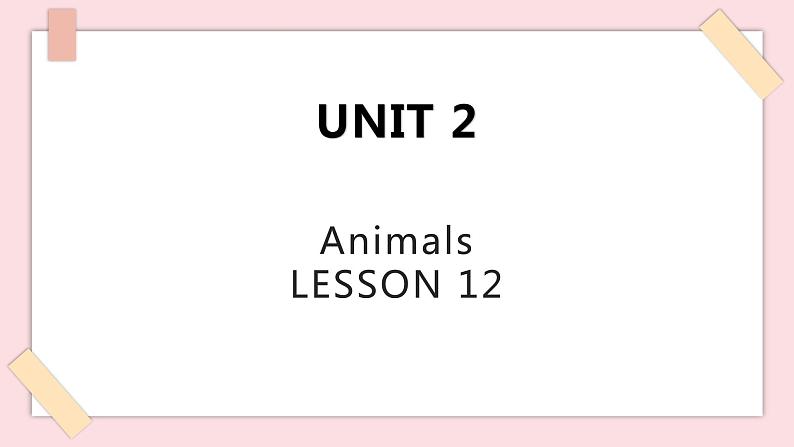 Unit 2 Lesson 12 课件第1页