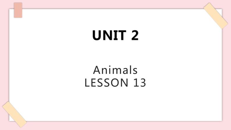 清华大学版1上英语Unit 2 Lesson 13 课件01