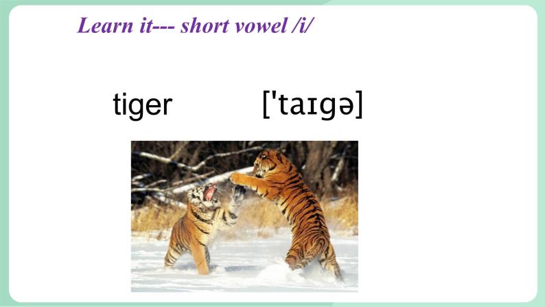 清华大学版小学英语 三年级上册 -unit 2 the short vowel sounds lesson 10 课件04