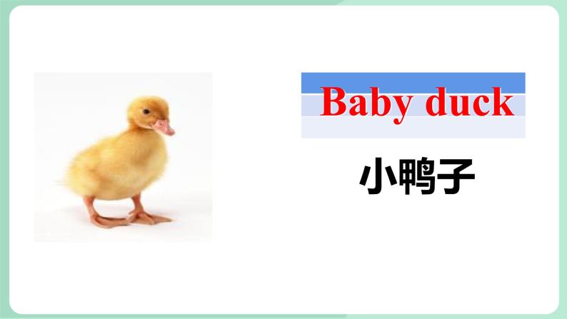 清华大学版小学英语 三年级上册 -unit 2 the short vowel sounds lesson 12 课件03