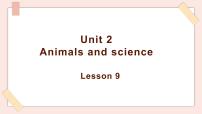 清华大学版六年级上册Unit 2 Animals and science图文课件ppt