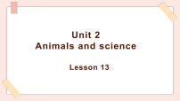 小学英语清华大学版六年级上册Unit 2 Animals and science评课课件ppt