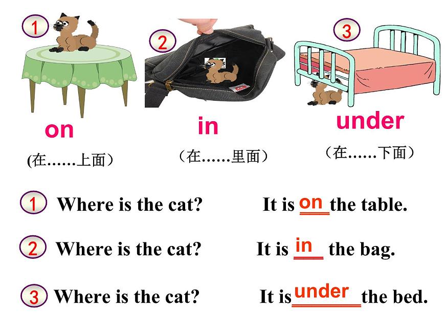外研版(一年級起點)一年級下冊英語課件-Module 2unit1 Where 's the bird ？第7頁