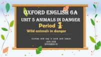 小学英语新版-牛津上海版六年级上册Unit 5 Animals in danger课堂教学课件ppt