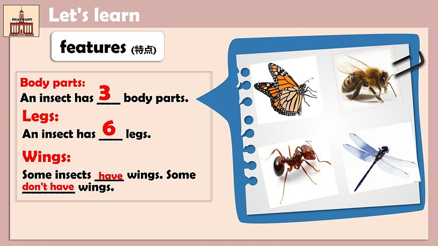 小學(xué)英語(yǔ)六年級(jí)第三模塊第八單元第一課時(shí)第7頁(yè)