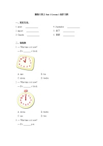 小学英语lesson1 At the Airport练习