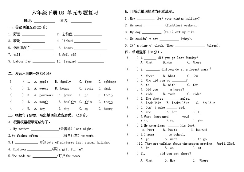 pep人教版六年级英语下册Unit3单元优质专题复习 (无答案)第1页