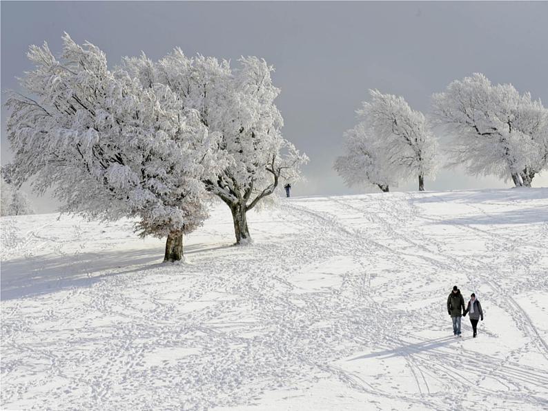 六年级英语上册课件-Unit 3 Lesson 14 Snow! It's Winter冀教版(共12张PPT)02