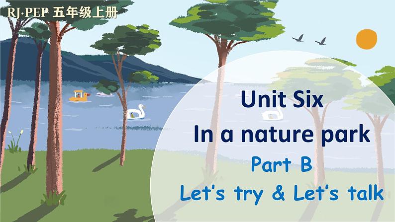 Unit 6 In a nature park Part B 第4课时(课件+音视频素材)01
