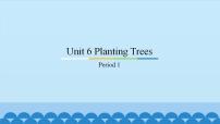 广东版 (先锋&开心)开心学英语六年级上册Unit 6 Planting Trees教案配套ppt课件