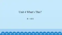 小学英语陕旅版三年级上册Unit 4 What's This?课堂教学ppt课件