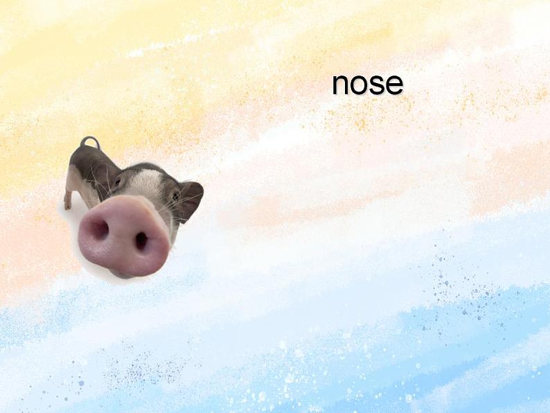 冀教版(一起)2上英语 Lesson 12 Smell with My Nose 课件+教案02