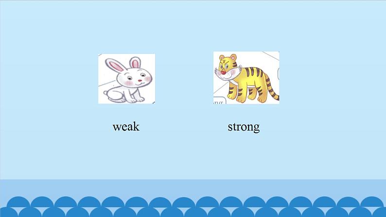 Unit 9 The Tiger and Other Animals Period 1-2(课件) 新世纪英语四年级上册第4页