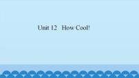 英语新世纪版Unit 12 How Cool!教案配套ppt课件