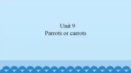 Unit 9 Parrots or carrots（课件） 新世纪英语二年级上册