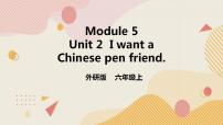 外研版 (一年级起点)六年级上册Unit 2 I want a Chinese pen friend..优质课件ppt