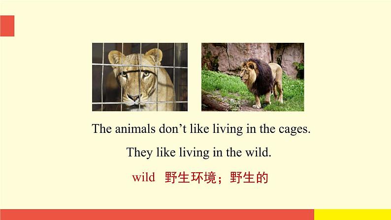 Unit 5《Animals in danger》(第1课时)教学PPT(沪教牛津版英语六上)07
