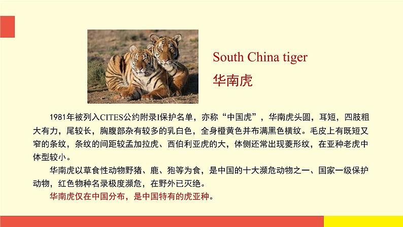 Unit 5《Animals in danger》(第1课时)教学PPT(沪教牛津版英语六上)08