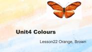 冀教版 (一年级起点)一年级上册Lesson 22 Orange, Brown精品课件ppt