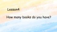 2021学年Lesson 4 How Many Books Do You Have?一等奖课件ppt