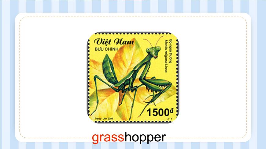 Module 4 Unit 1 Insects（課件）牛津上海版（試用本）三年級上冊第2頁