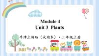 小学英语unit 3 Plants备课ppt课件