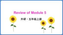 英语五年级上册Module 5模块综合与测试课文课件ppt