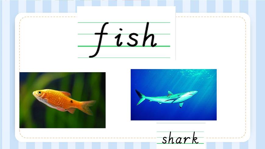 Unit 3 Animal World（課件）人教新起點(diǎn)版英語六年級(jí)上冊第3頁