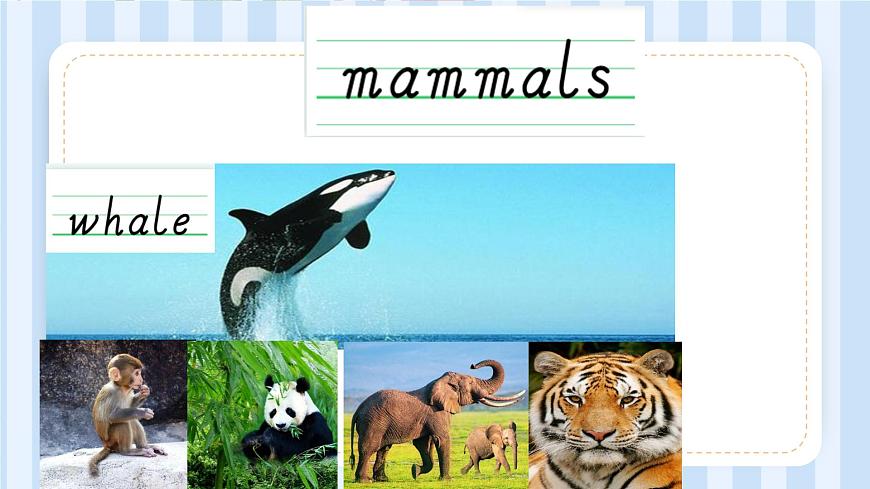 Unit 3 Animal World（課件）人教新起點(diǎn)版英語六年級(jí)上冊第6頁